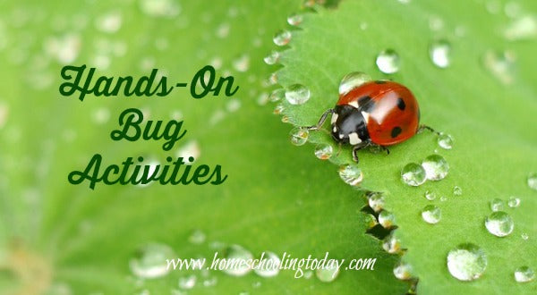 Hands-On Bug Activities - Homeschooling Today Magazine
