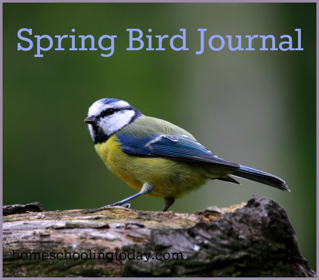 Spring Bird Journal |Homeschooling Today Magazine