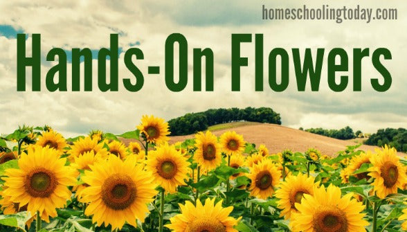 Hands On Spring Series : Flowers - Homeschooling Today Magazine