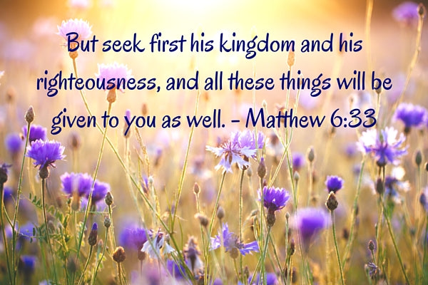 But seek first his kingdom and his righteousness, and all these things will be given to you as well. - Matthew 6-33