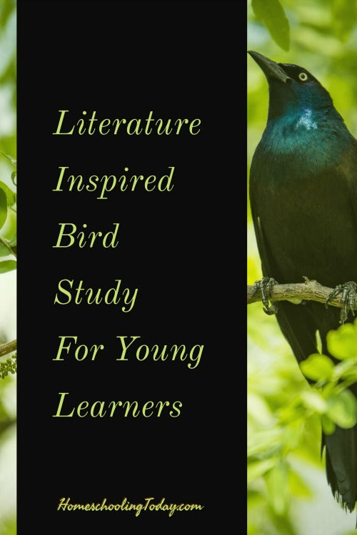Literature Inspired Bird Study For Young Learners - HomeschoolingToday.com